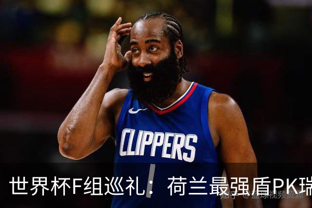 世界杯F组巡礼：荷兰最强盾PK瑞典犀利刀 日本短板明显